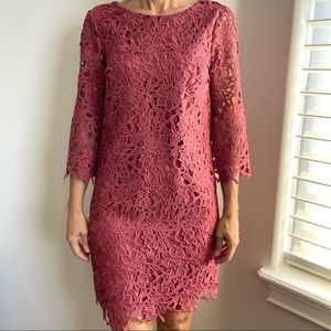 Ann Taylor Rose Pink Lace Dress